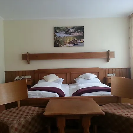 Hotel Ritschlay 3*